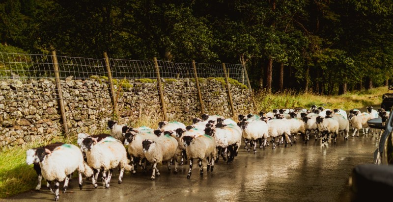 Charlies Ten Lakes 2015 Scaled 027