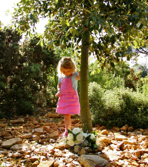 2664647037_d3bc66f2dd_b