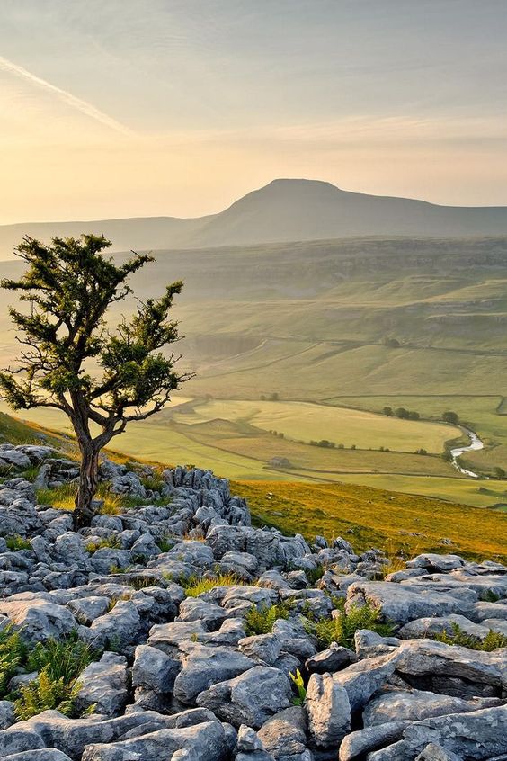 502631199fc4230b2b0d1508235036b5